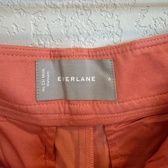 NWT Everlane Coral Pleated Shorts - Picture 5 of 6